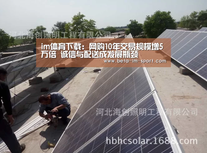 im体育下载：网购10年交易规模增5万倍 诚信与配送成发展瓶颈